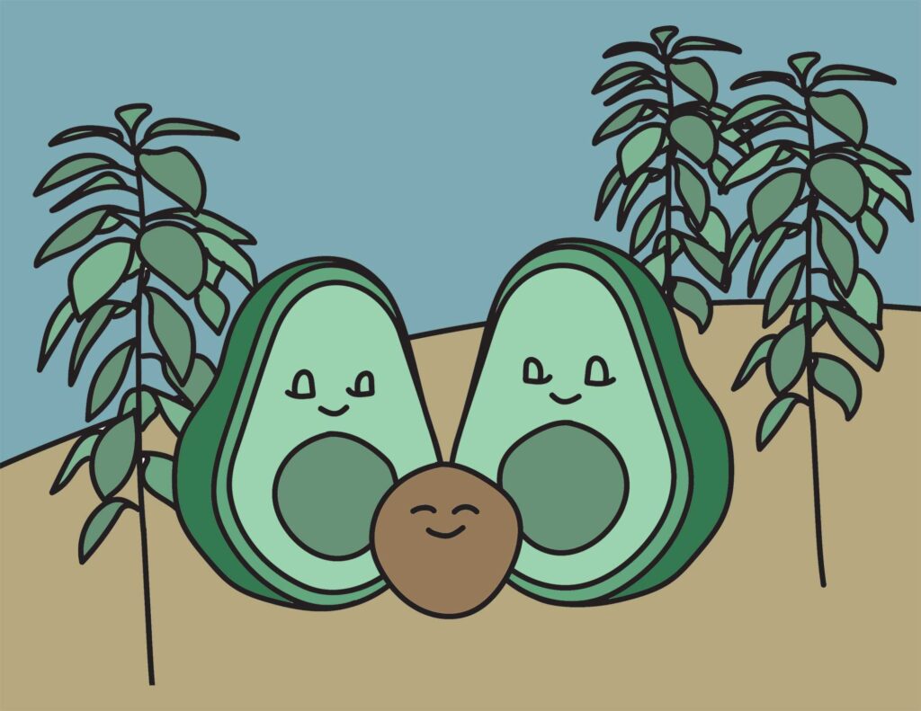 Avocado coloring page
