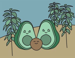 Avocado coloring page