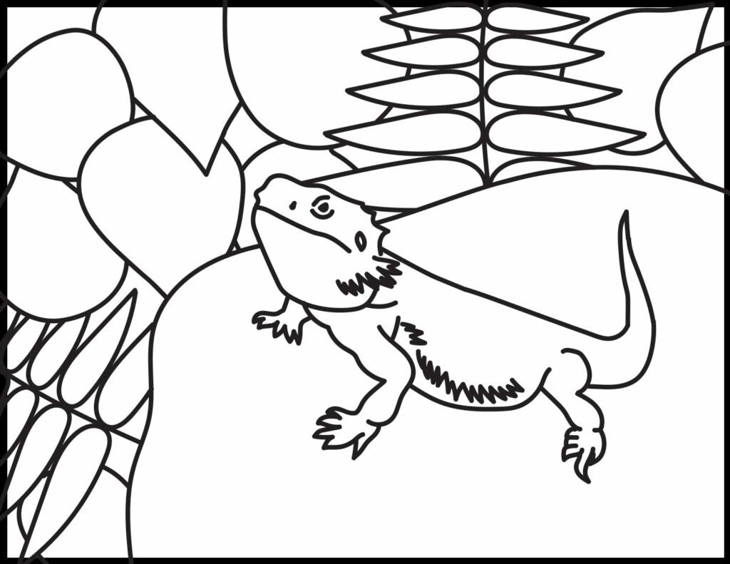 Bearded dragon coloring page