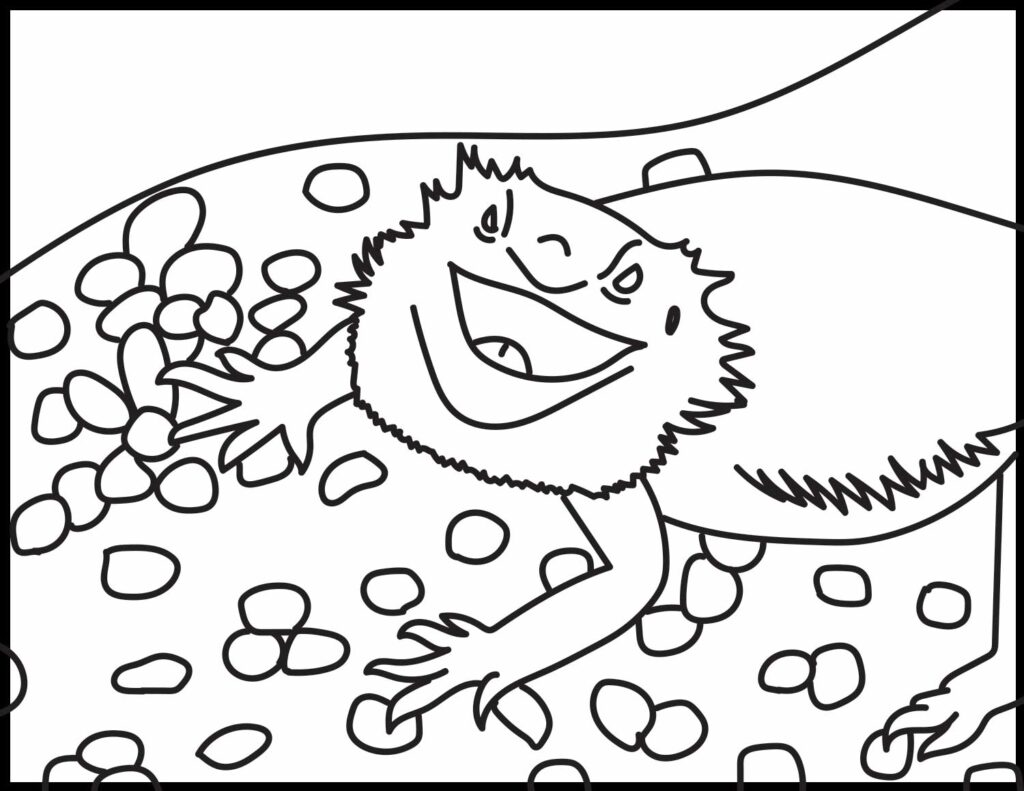 Bearded dragon coloring page