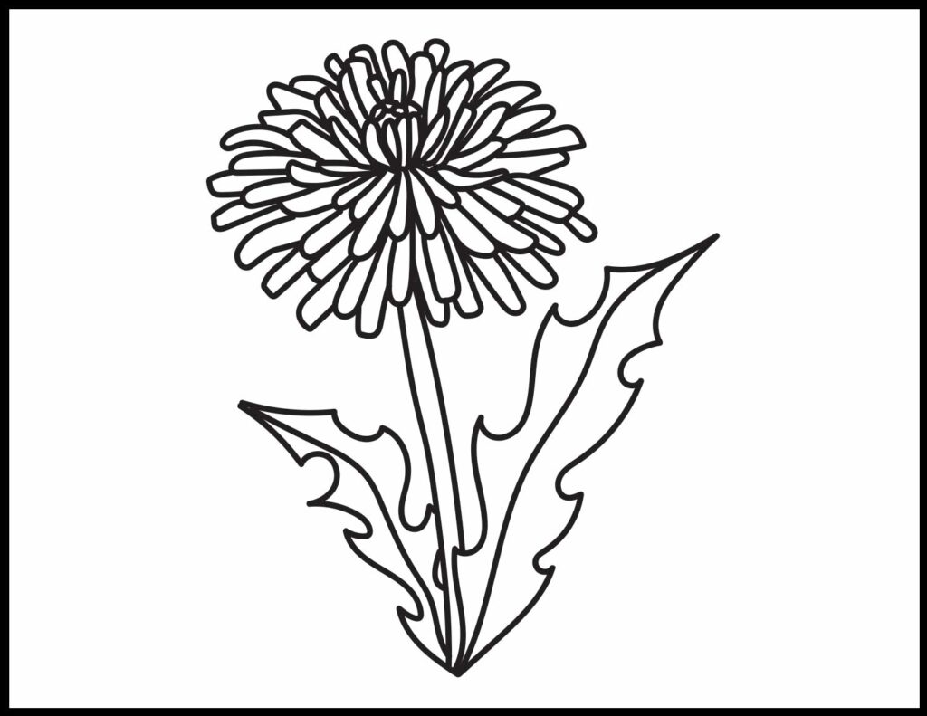 Dandelion Coloring Pages Roaring Spork costco-muffin-calories-and-nutrition-facts-one-costco-muffin-424