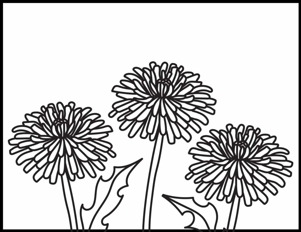 Dandelion Coloring Page