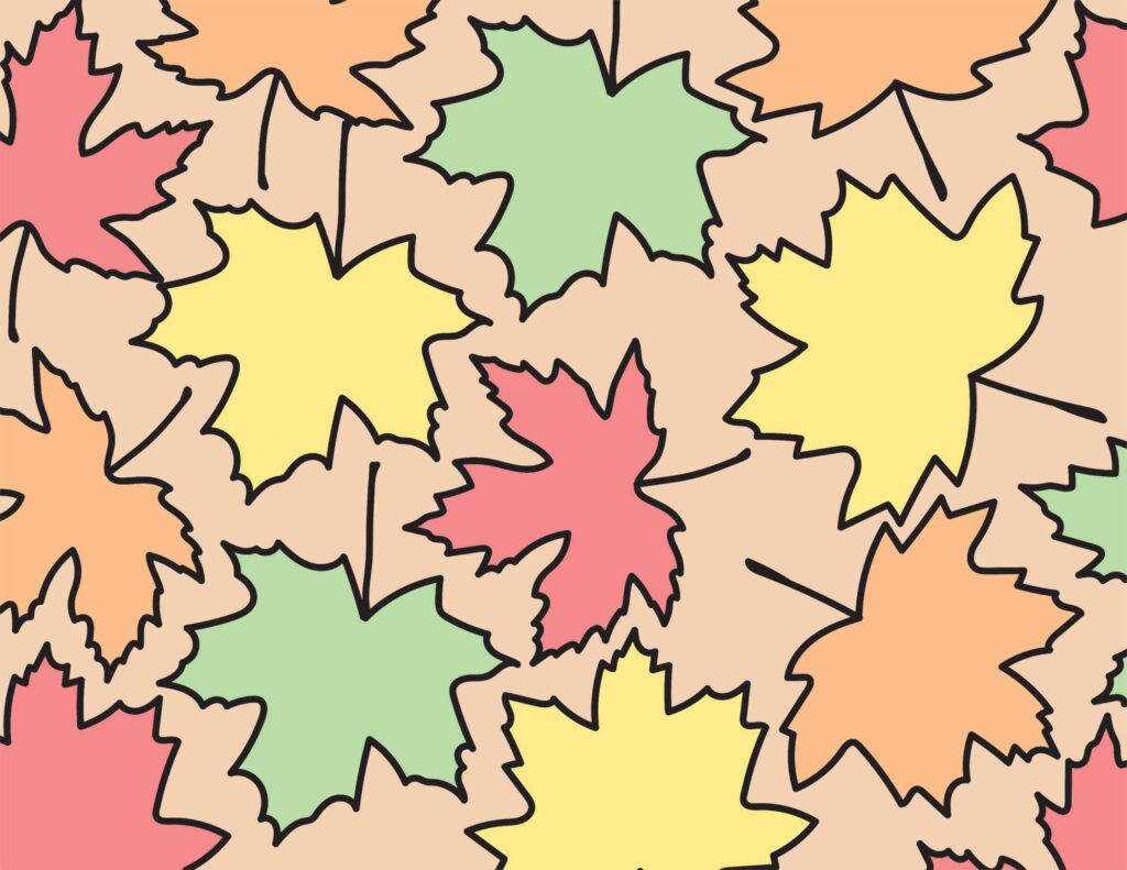 Maple leaf coloring page
