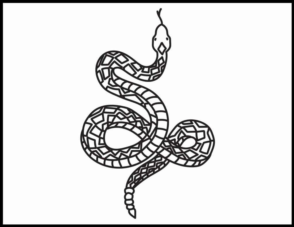 Rattlesnake coloring page