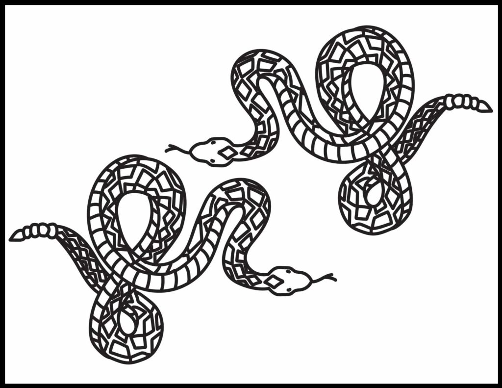 Rattlesnake coloring page