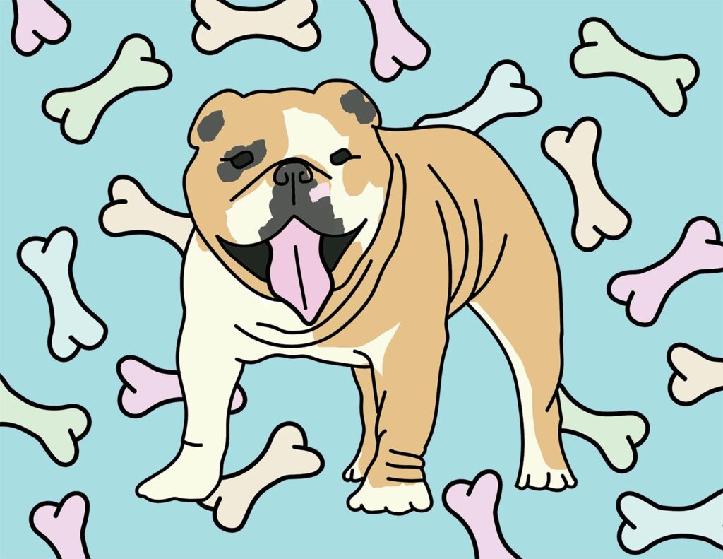 Bulldog coloring page
