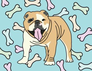 Bulldog coloring page