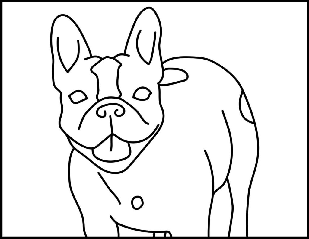 Bulldog coloring page